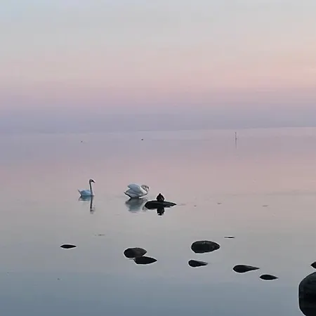 Atpuutas Maja Pie Juras-rinki,zvejniekciems Ainazu Iela 61 * Saulkrasti